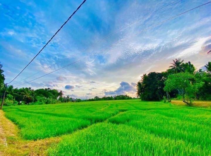 Arani Homestay ポロンナルワ エクステリア 写真